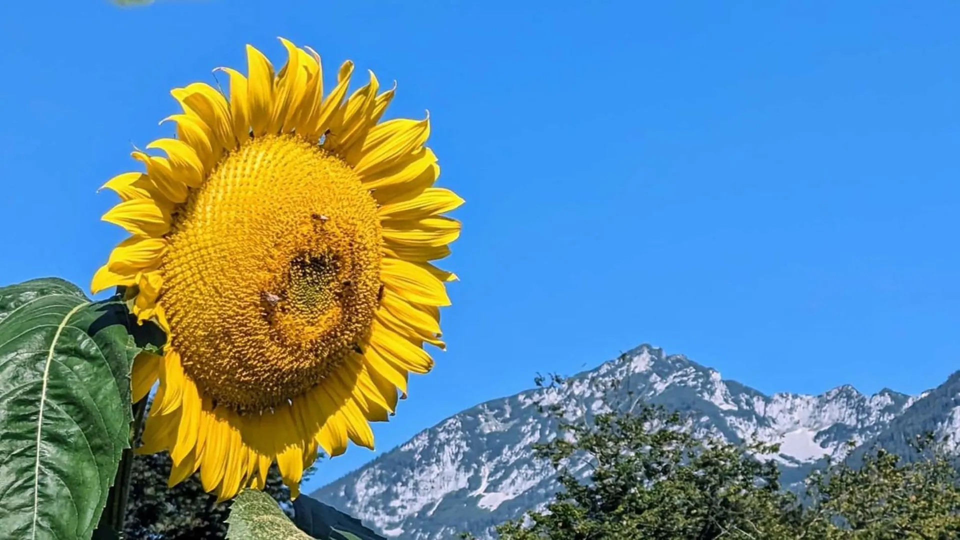 Ferienwohnungen Natur Pur Bad Reichenhall